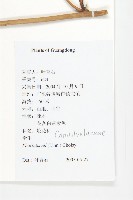 裂葉牽牛藏品圖，第2張