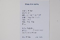 假鷹爪藏品圖，第2張