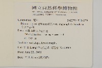 早苗蓼藏品圖，第2張