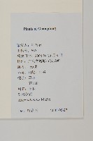 掃帚菊藏品圖，第2張