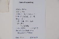 登錄號:S126691藏品圖，第2張