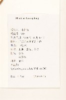 金鈕釦藏品圖，第2張