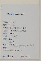 升馬唐藏品圖，第2張