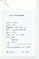 茅瓜藏品圖，第2張