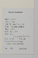 登錄號:S126762藏品圖，第2張