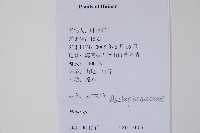 登錄號:S126776藏品圖，第2張