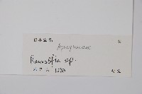 登錄號:S126789藏品圖，第2張