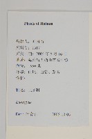 無柄衛矛藏品圖，第2張