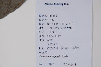 登錄號:S126805藏品圖，第2張