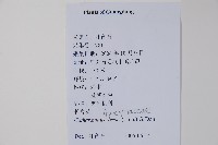 長春花藏品圖，第2張