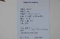 莢迷藏品圖，第2張