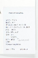 延平柿藏品圖，第4張