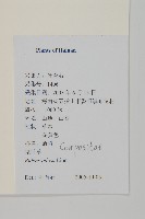 白花鬼針藏品圖，第2張