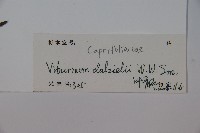 登錄號:S126963藏品圖，第2張