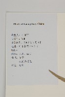艾、五月艾藏品圖，第2張