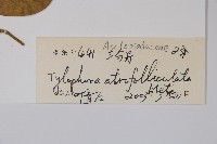 三分丹藏品圖，第2張