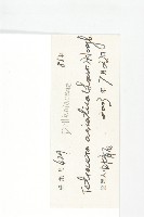 錫葉藤藏品圖，第3張