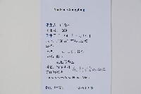 美麗獼猴桃藏品圖，第2張