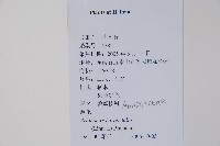 鷹爪花藏品圖，第2張