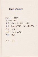 登錄號:S127054藏品圖，第2張