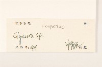 登錄號:S127054藏品圖，第3張