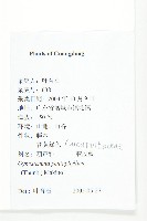 絞股藍藏品圖，第2張