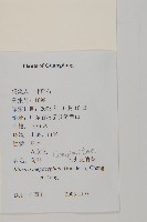 大頭艾納香藏品圖，第2張