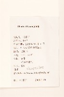 飛機草藏品圖，第2張