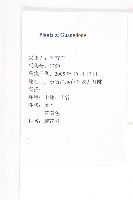 登錄號:S127096藏品圖，第2張