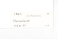 登錄號:S127096藏品圖，第3張