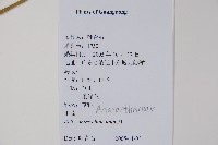 牛膝藏品圖，第2張