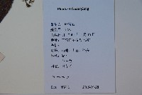 登錄號:S127147藏品圖，第2張