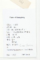 薺藏品圖，第2張