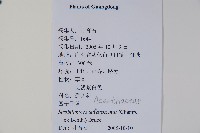 四子馬藍藏品圖，第2張