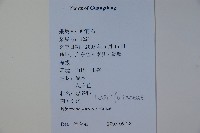 南方莢迷藏品圖，第2張