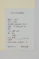 臭杏、土荊芥藏品圖，第2張