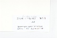 登錄號:S127252藏品圖，第3張