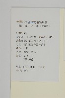 臭杏、土荊芥藏品圖，第2張