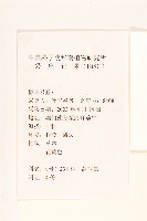 苦滇菜、苦菜藏品圖，第2張