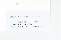 焊菜藏品圖，第3張