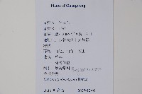 紫背天葵藏品圖，第2張