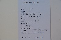 珊瑚樹藏品圖，第2張