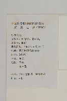 琴葉紫菀藏品圖，第2張