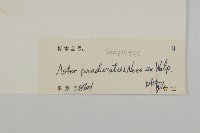 琴葉紫菀藏品圖，第3張