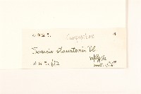 閩粵千里光藏品圖，第3張