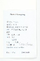 獨行菜藏品圖，第2張