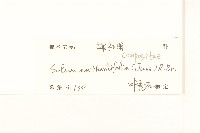 假吐金菊藏品圖，第3張