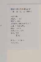 鱧腸藏品圖，第2張