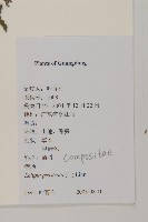 鱧腸藏品圖，第2張