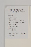 白花鬼針藏品圖，第2張